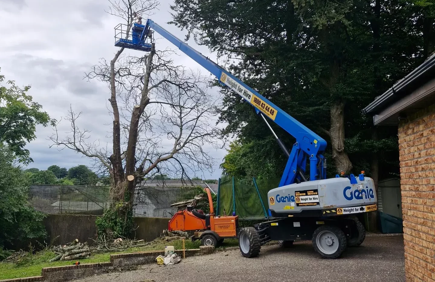 Tree Pruning
