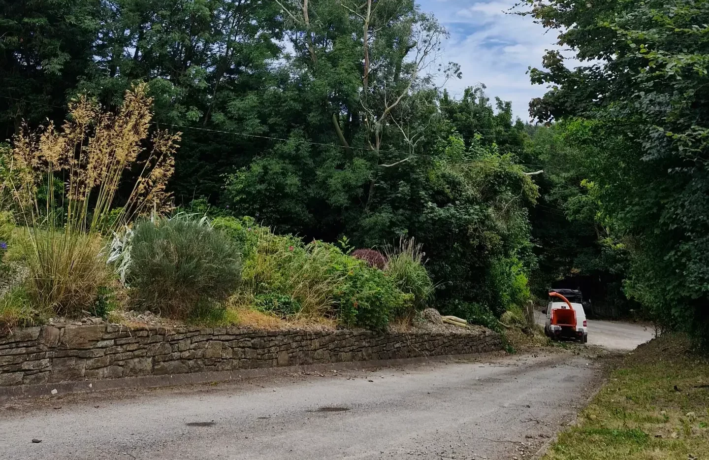 Mulching Tree Care Cork